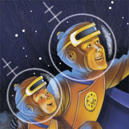 Star-gazing