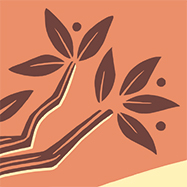 morning-in-the-garden